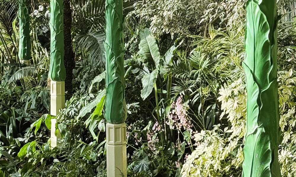 Palmiarnia