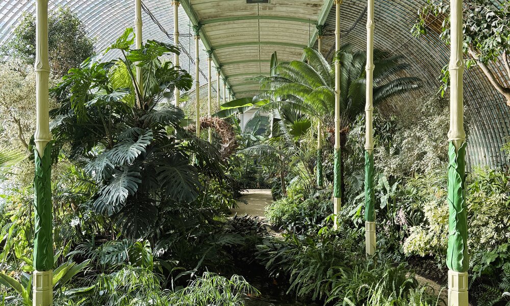 Palmiarnia
