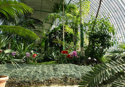 Greenhouse interior