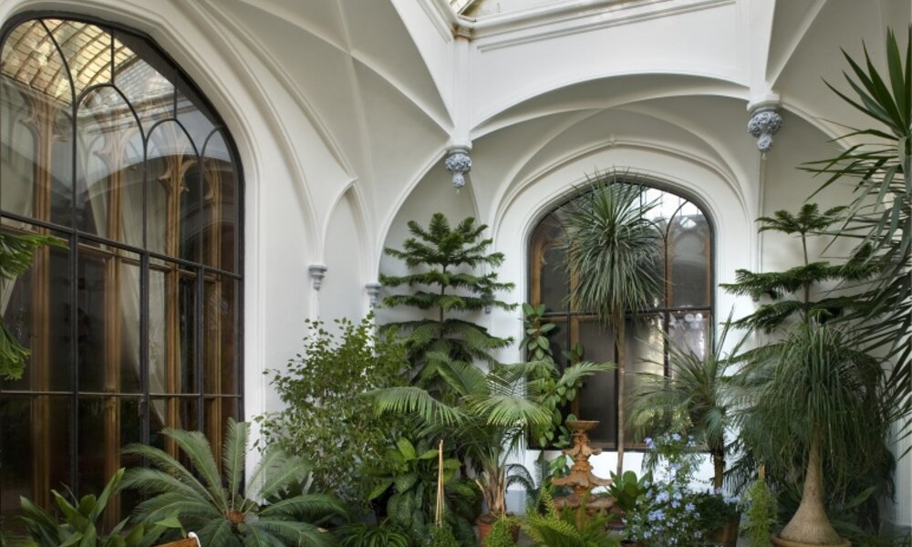 Greenhouse interior