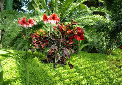 Greenhouse interior