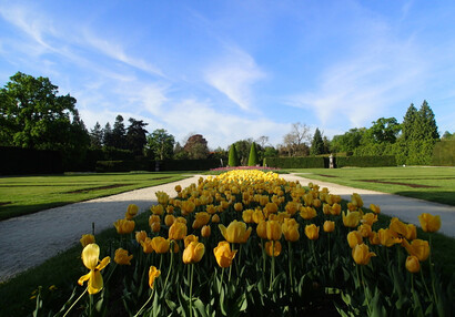 Tulpensammlung