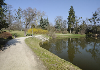 Weg rund um den Rosen-teich