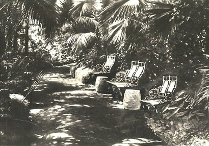 Greenhouse interior