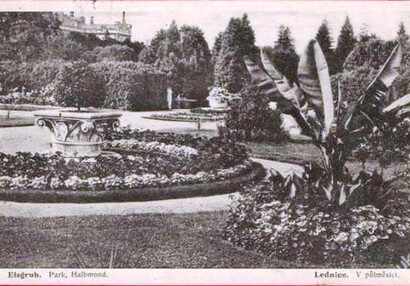 The Garden