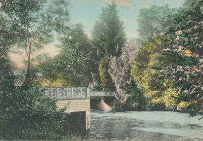 Bridge in the park
