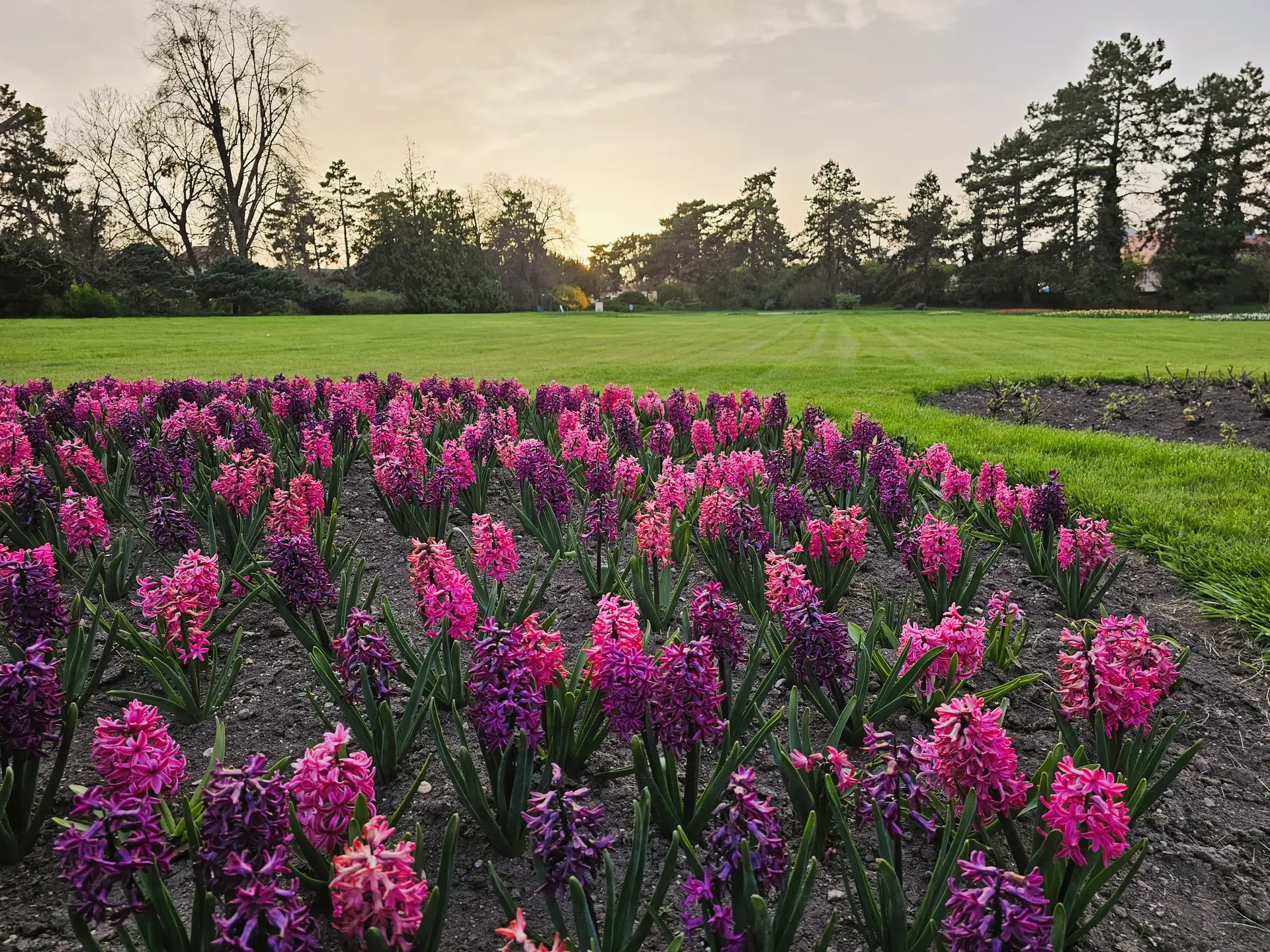 Through the park with a landscape architect